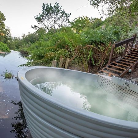 The Fernery Lodge & Spa Stormsrivier Zewnętrze zdjęcie