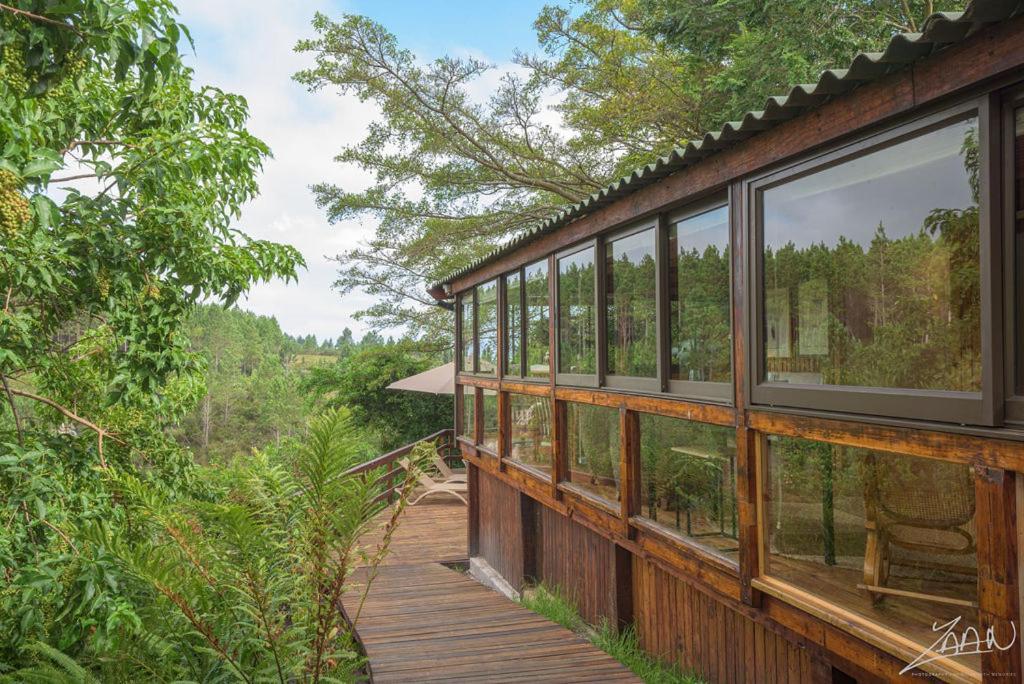 The Fernery Lodge & Spa Stormsrivier Zewnętrze zdjęcie