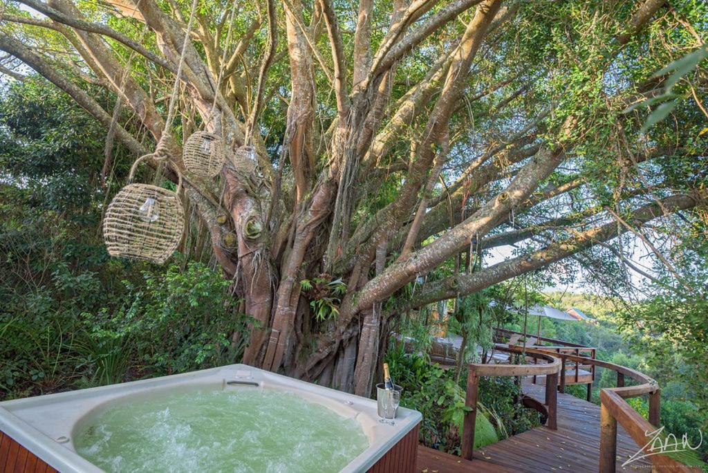 The Fernery Lodge & Spa Stormsrivier Zewnętrze zdjęcie