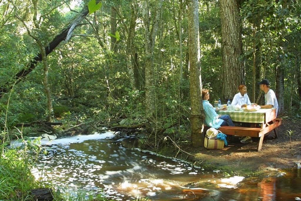 The Fernery Lodge & Spa Stormsrivier Zewnętrze zdjęcie